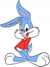 rabbit80